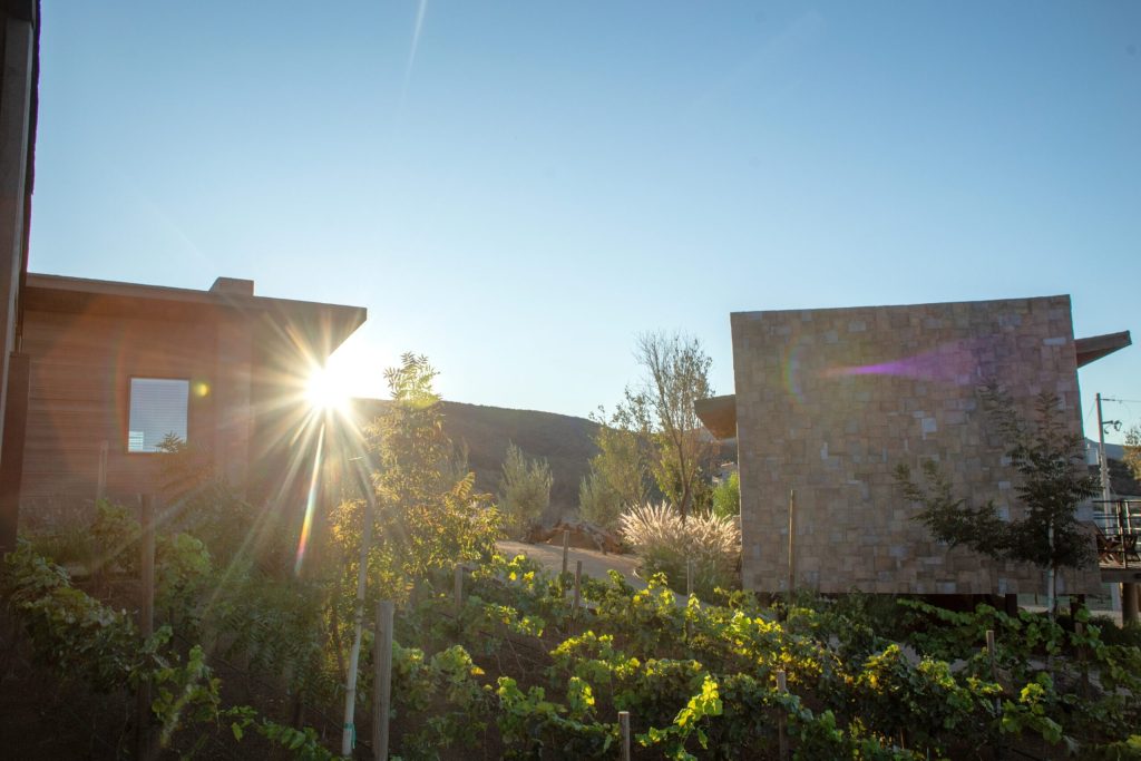 A Front-Row Guide to Baja’s Wine Country Retreats