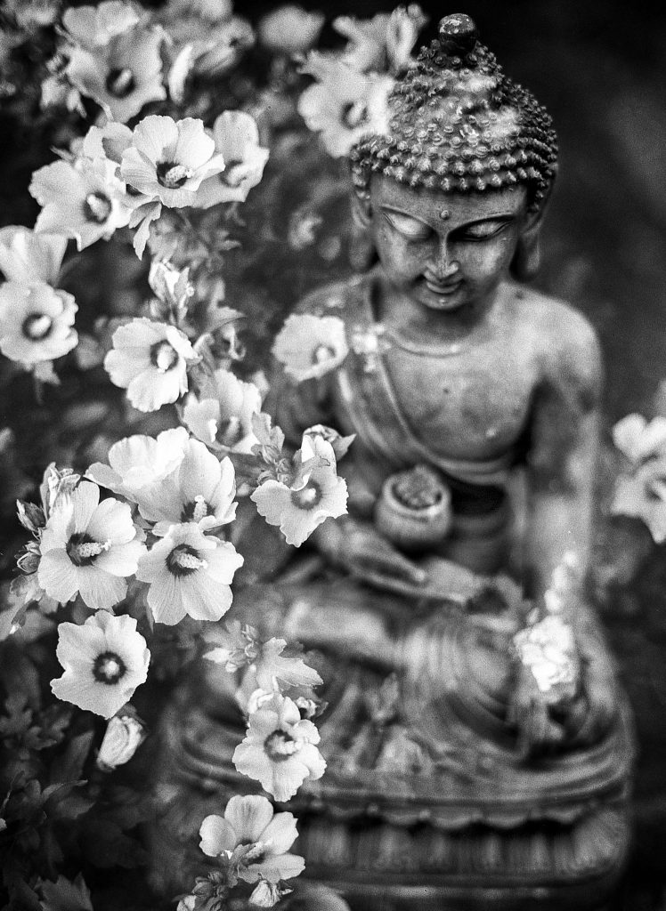 A Practical Path to Recovery: Therapy for Burnout and Stress