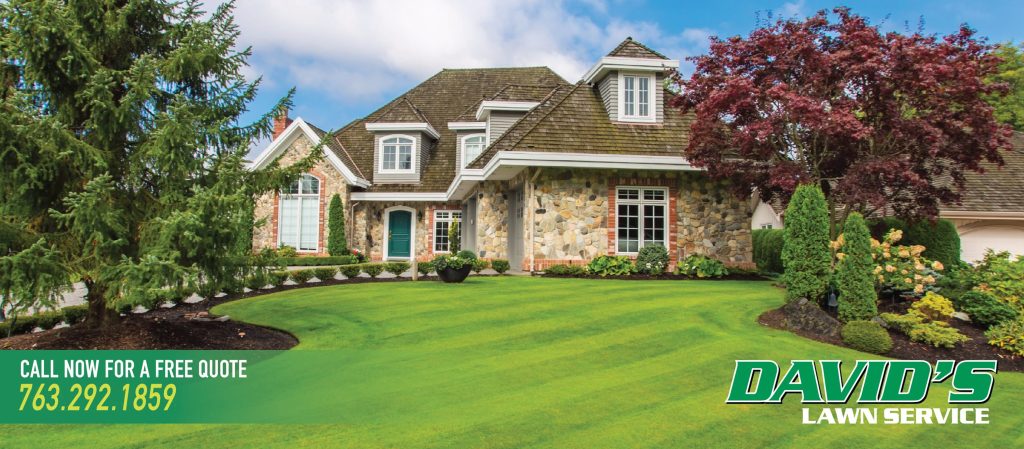 Smart mulch planting tips for Plymouth MN homes