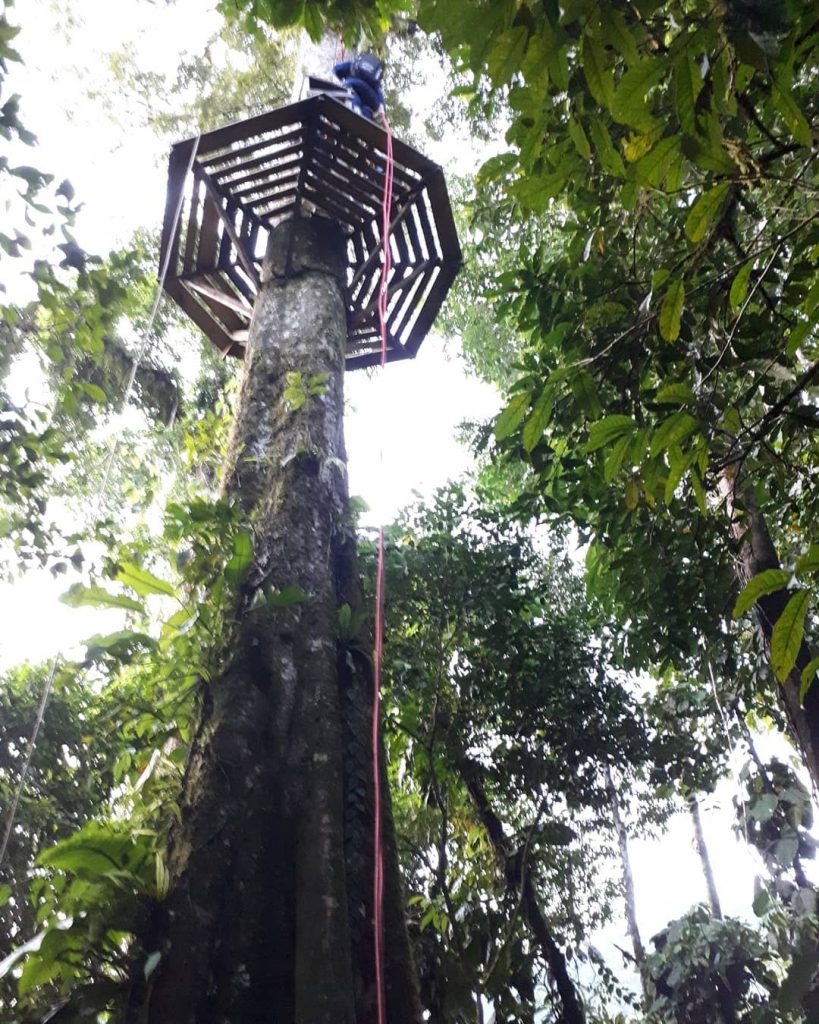 Explore Manu National Park Tours: A Rugged, Real Adventure