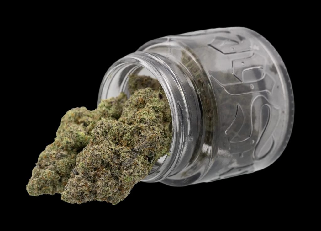 Smart Stops: Your Guide to Dispensary Silver Spring MD and Beyond
