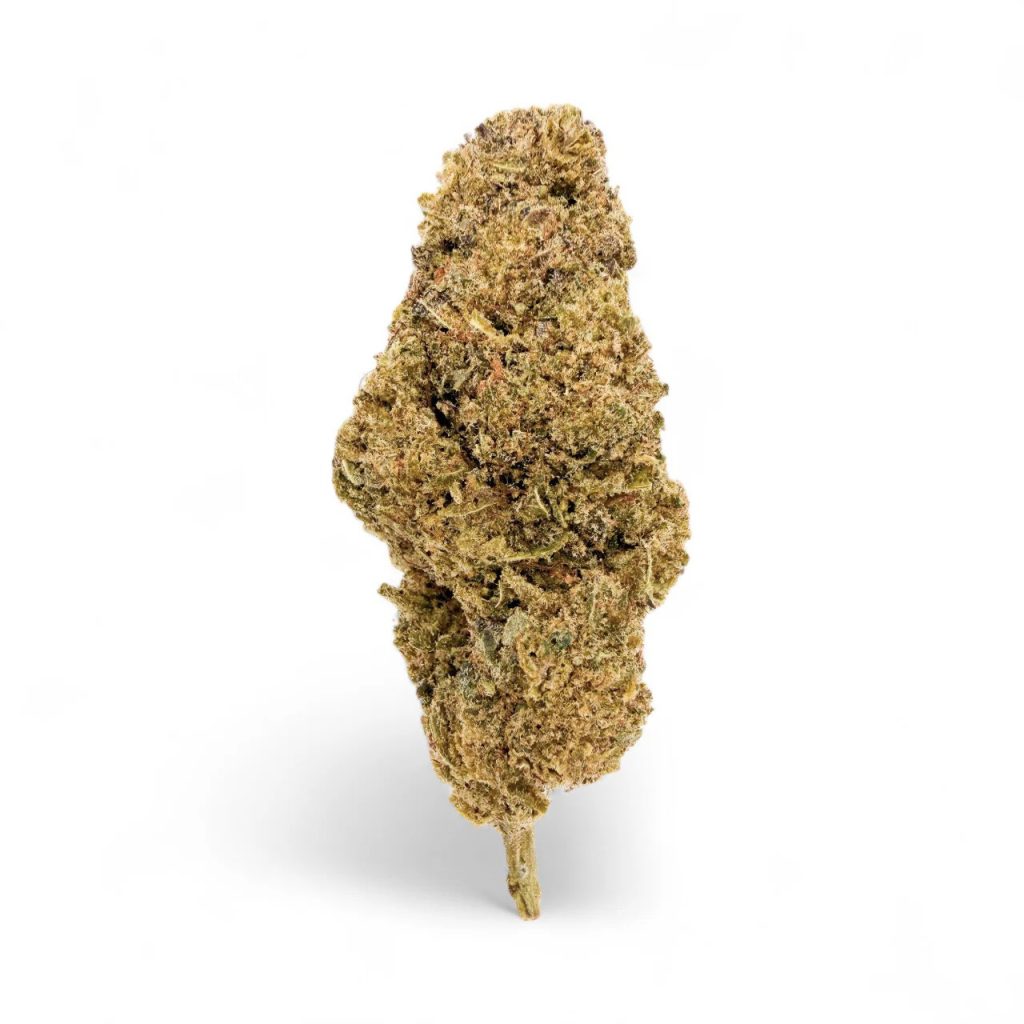 Glass Blunt Tips: A Practical Guide for Clean Hits and Safe Use