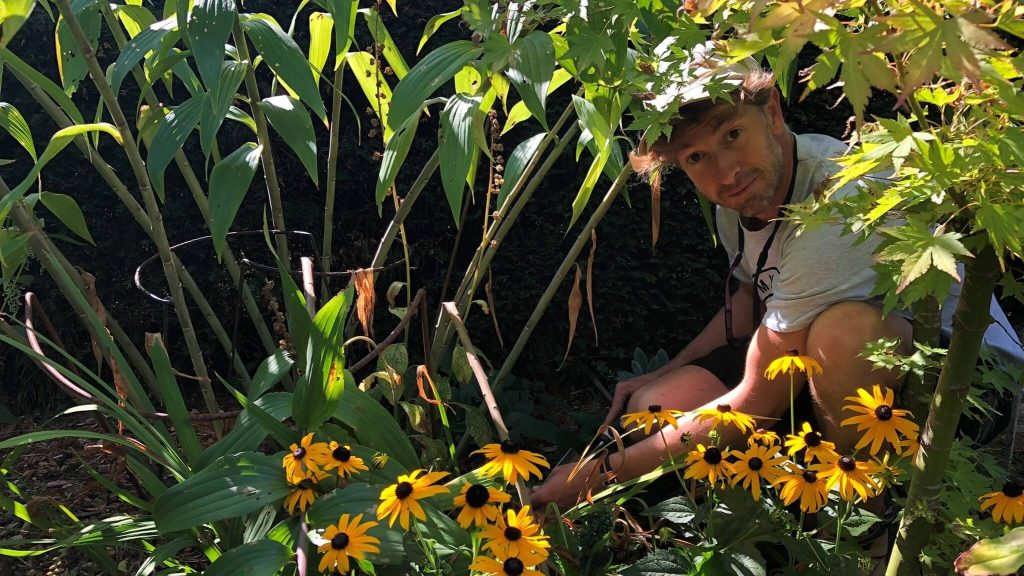 A trusted green thumb for windows, hedges and hands-on care