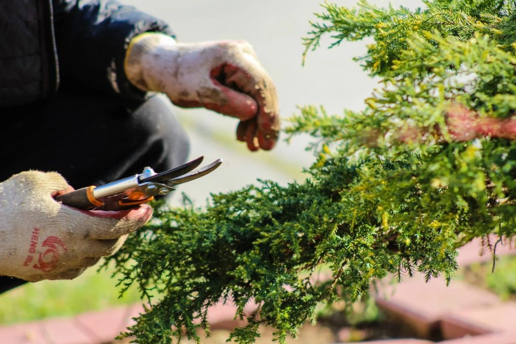 Smart yard care that actually sticks around