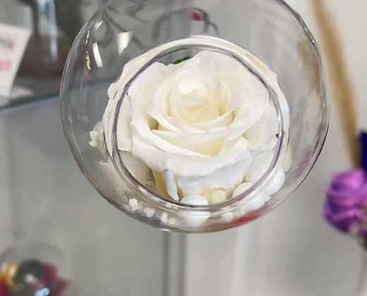 Choose a Love Forever Rose that lasts Choose a Love Forever Rose that lasts