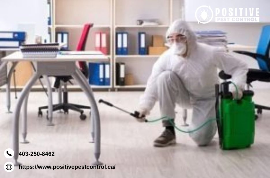 Efficient pest service for homes in Calgary Efficient pest service for homes in Calgary