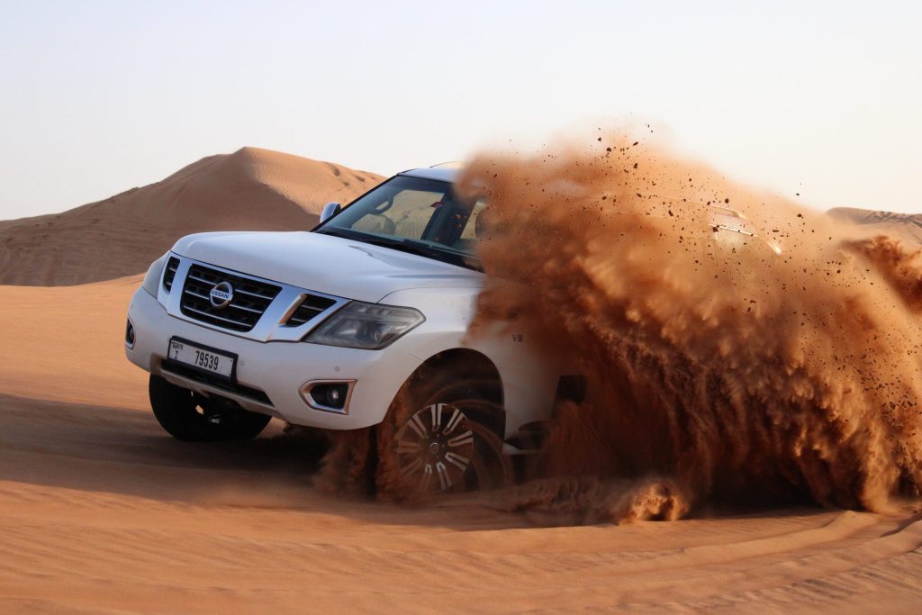 Discover an unforgettable wilderness safari journey