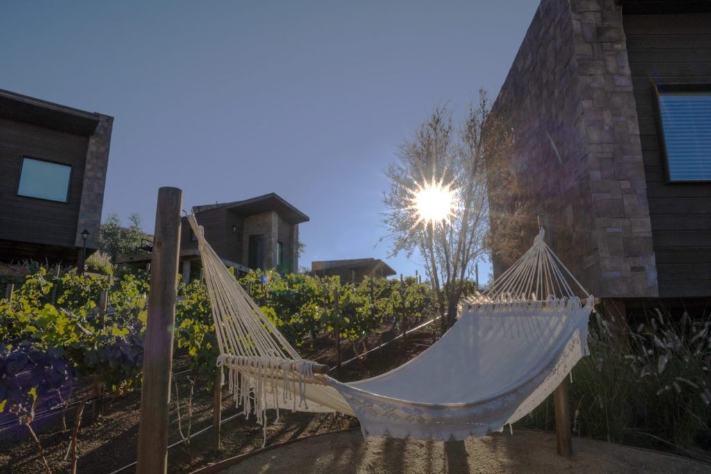 Escape to a vineyard-inspired retreat in Baja California