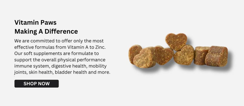 Keep Your Dog Comfortable: Practical Urinary Health Tips