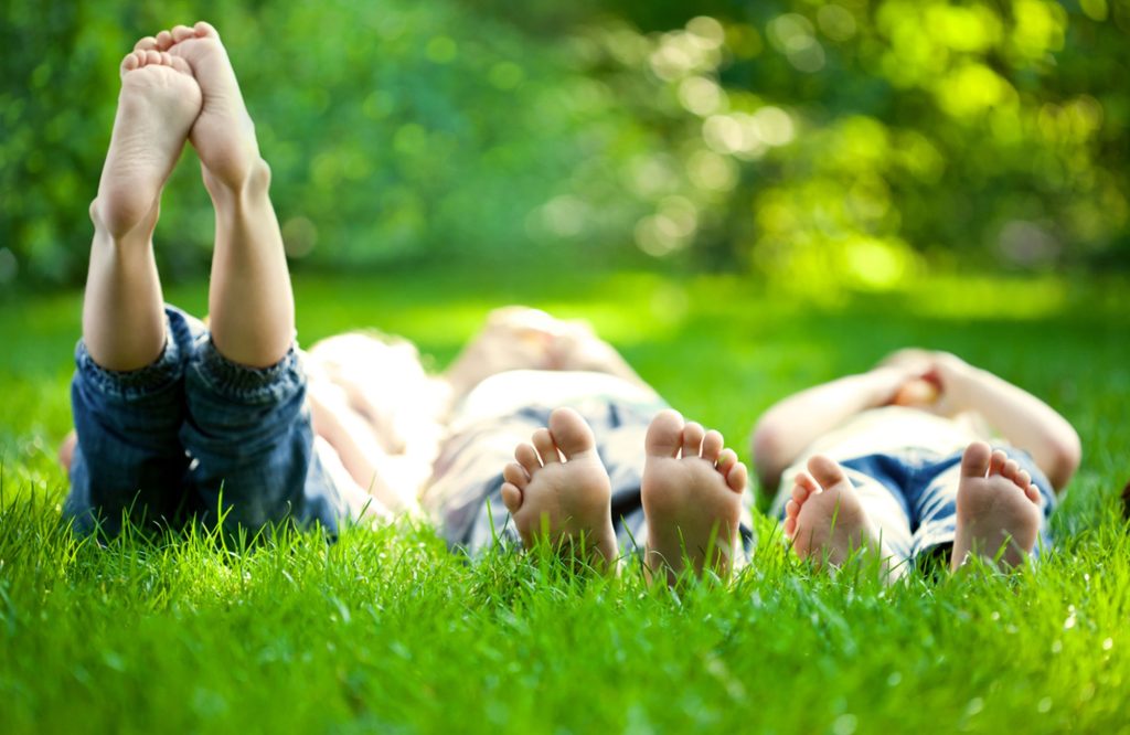 Expert lawn care solutions for San Antonio soil health