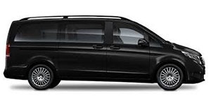 Exploring the Forest of Dean by Minibus Exploring the Forest of Dean by Minibus