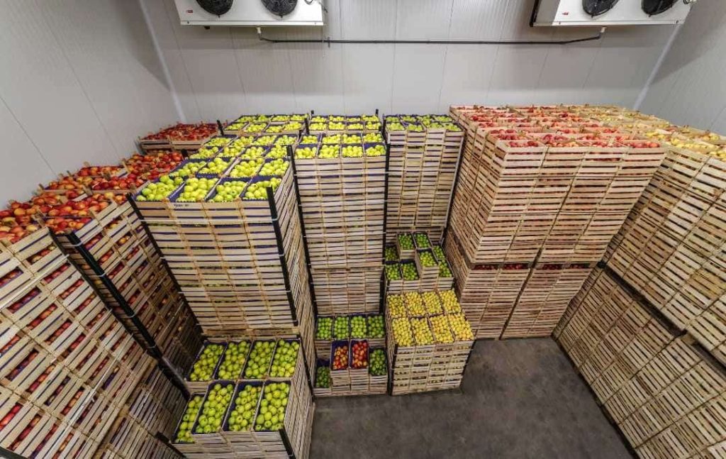 Reliable Chickpeas Sourcing for Bulk Buyers and Distributors