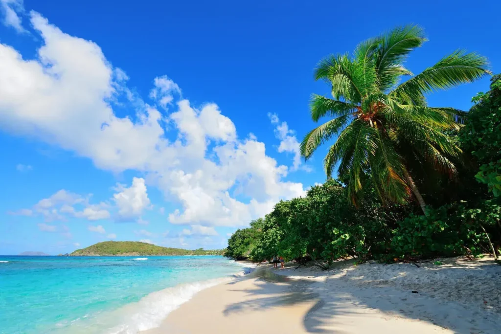 Smart ways to save on Hawaii car rentals
