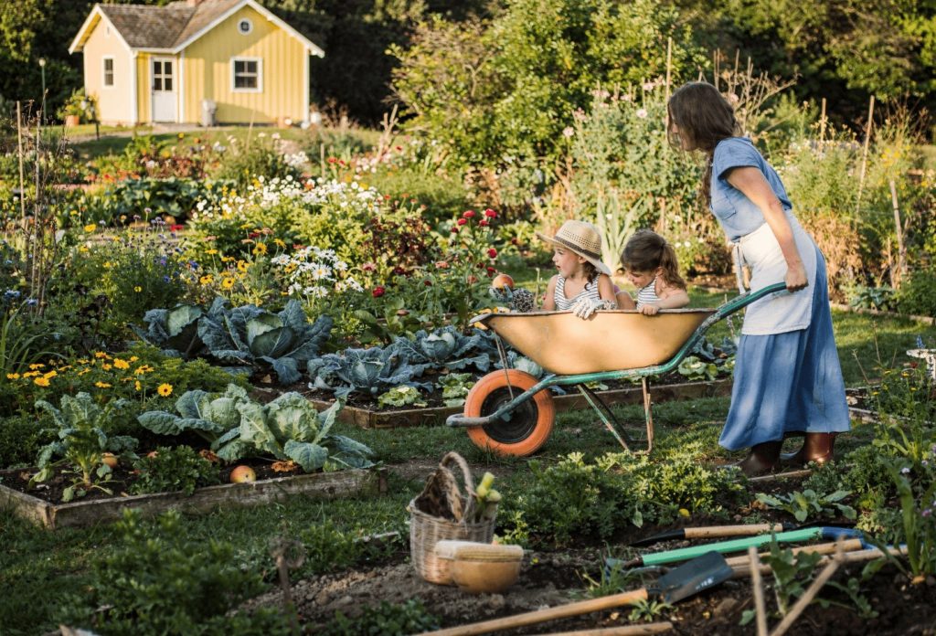 Grow Fresh Facts: Maximising Tiny Spaces for Food Production