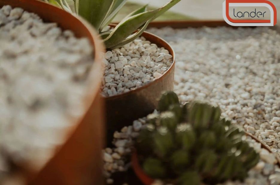 Create Clean, Defined Borders for a Polished Garden Create Clean, Defined Borders for a Polished Garden