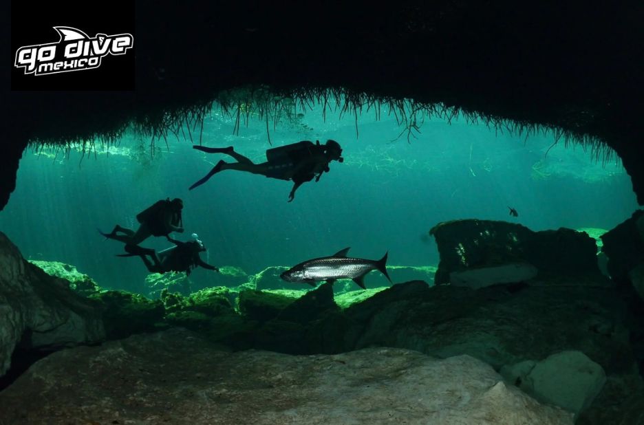 Explore Tulum’s Hidden Cenotes: A Diver’s Dream Come True Explore Tulum’s Hidden Cenotes: A Diver’s Dream Come True