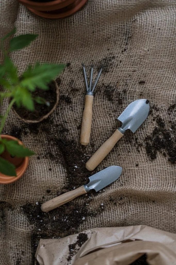 Trusted Landscape Help Around Sutton Surrey