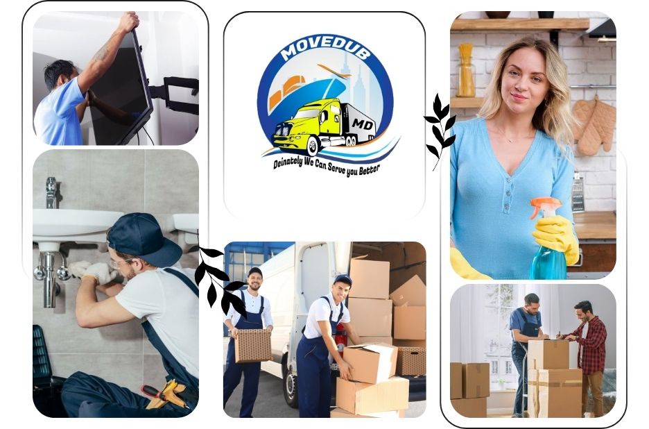 Top Drain Cleaning Near Me Services for Fast and Reliable Solutions Top Drain Cleaning Near Me Services for Fast and Reliable Solutions