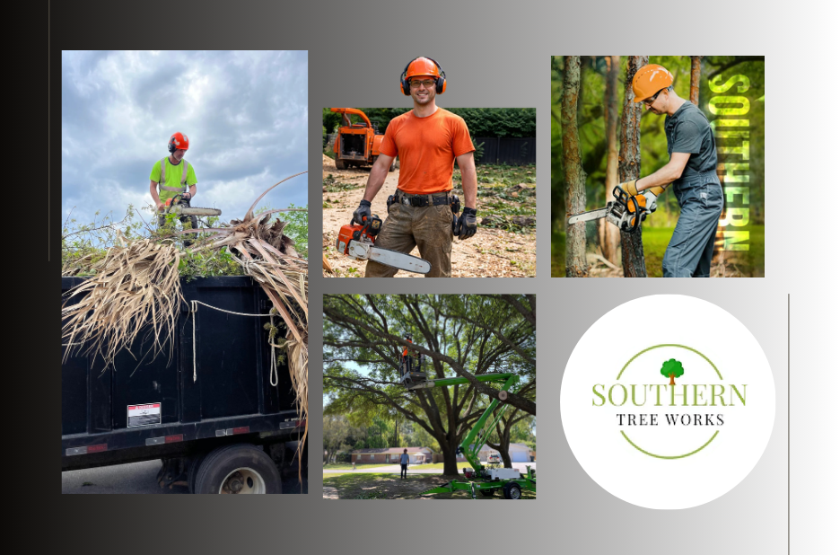 Expert Landscaping And Tree Service Dothan for Beautiful and Safe Outdoor Spaces Expert Landscaping And Tree Service Dothan for Beautiful and Safe Outdoor Spaces