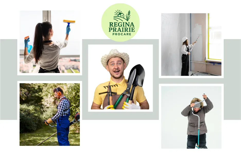 Top Garbage Bin Cleaning Regina Services for a Cleaner, Odor-Free Home Top Garbage Bin Cleaning Regina Services for a Cleaner, Odor-Free Home