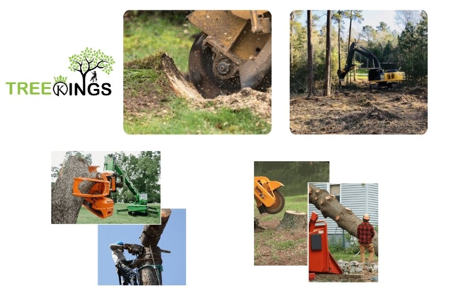 Expert Stump Removal Strathmore Services for Safe and Efficient Yard Cleanup Expert Stump Removal Strathmore Services for Safe and Efficient Yard Cleanup