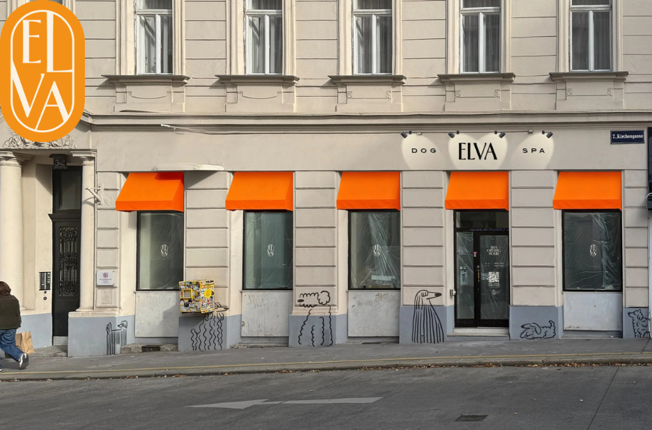 Ruhiger Hundesalon Wien – Stressfreie Pflege und individuelle Betreuung für Ihren Hund Ruhiger Hundesalon Wien – Stressfreie Pflege und individuelle Betreuung für Ihren Hund