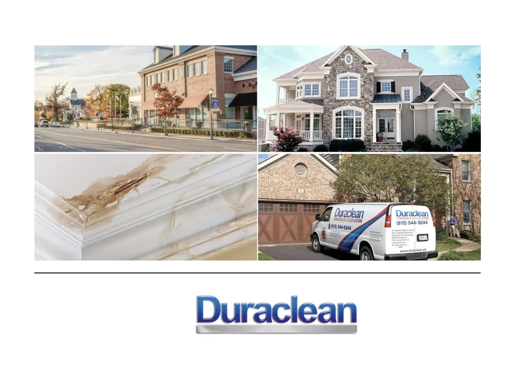 Expert Upholstery Cleaning Belvidere Services to Refresh and Protect Your Furniture