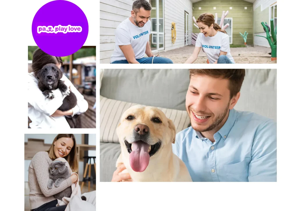 Top Free Dating Websites for Dogs to Find Your Pet’s Perfect Match