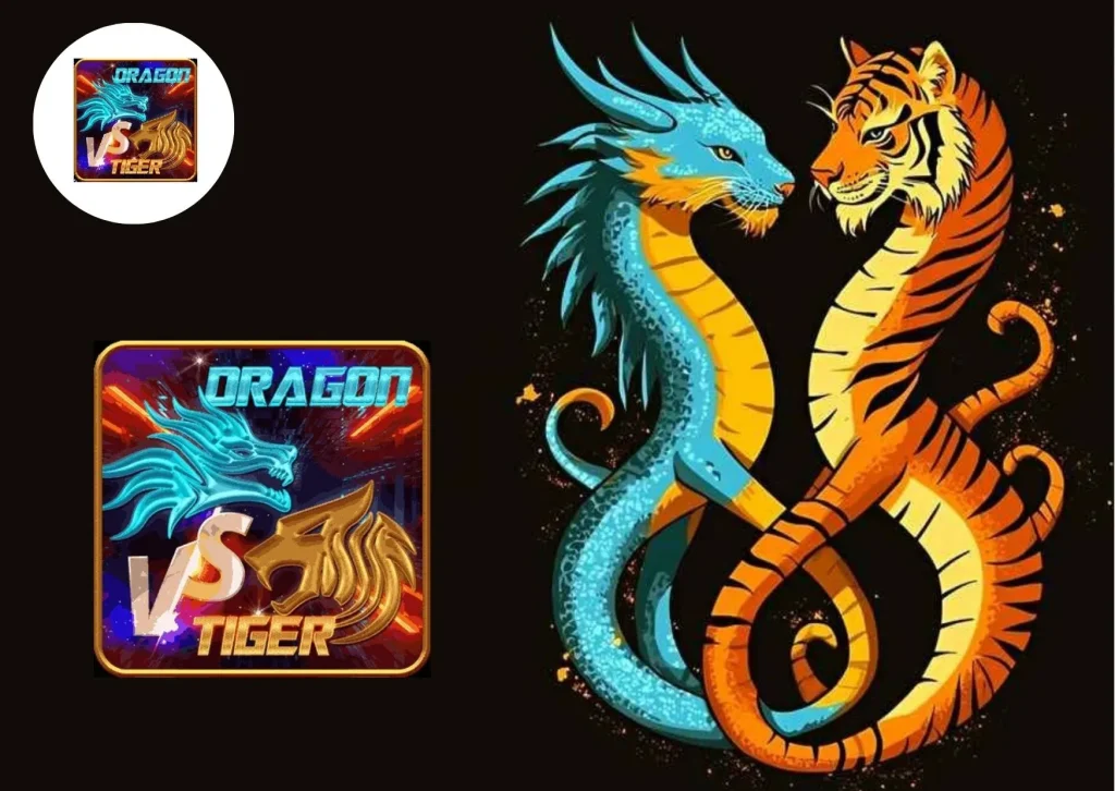 Maximize Your Winnings with Dragon Tiger Payout: Quick and Reliable Returns Explained
