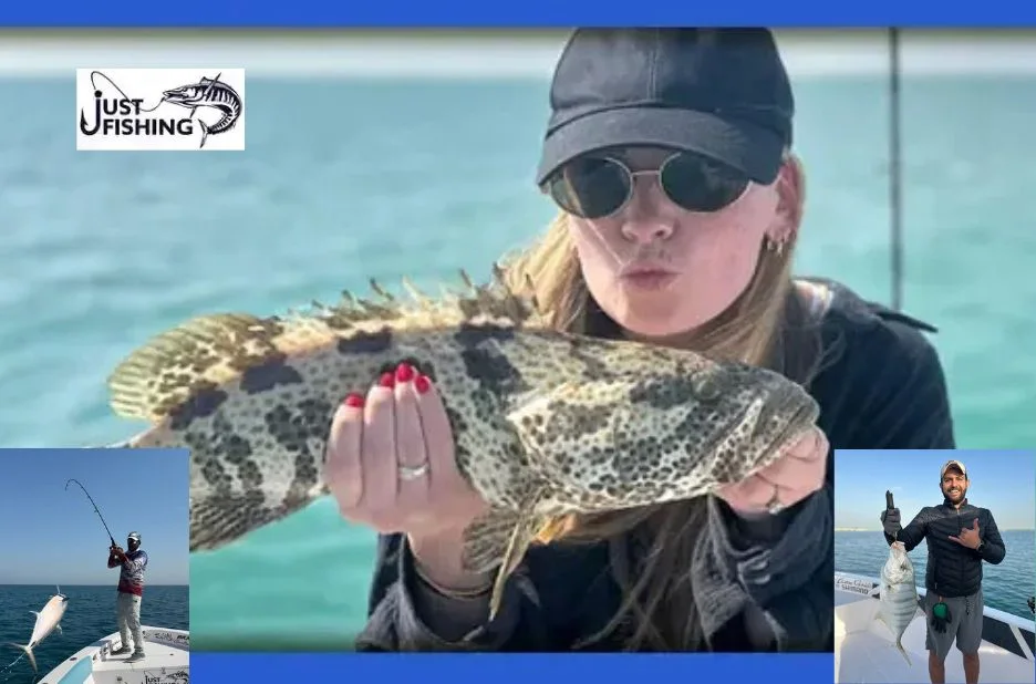 Best Fishing Rods for Offshore UAE – Durable and High-Performance Saltwater Fishing Gear Best Fishing Rods for Offshore UAE – Durable and High-Performance Saltwater Fishing Gear