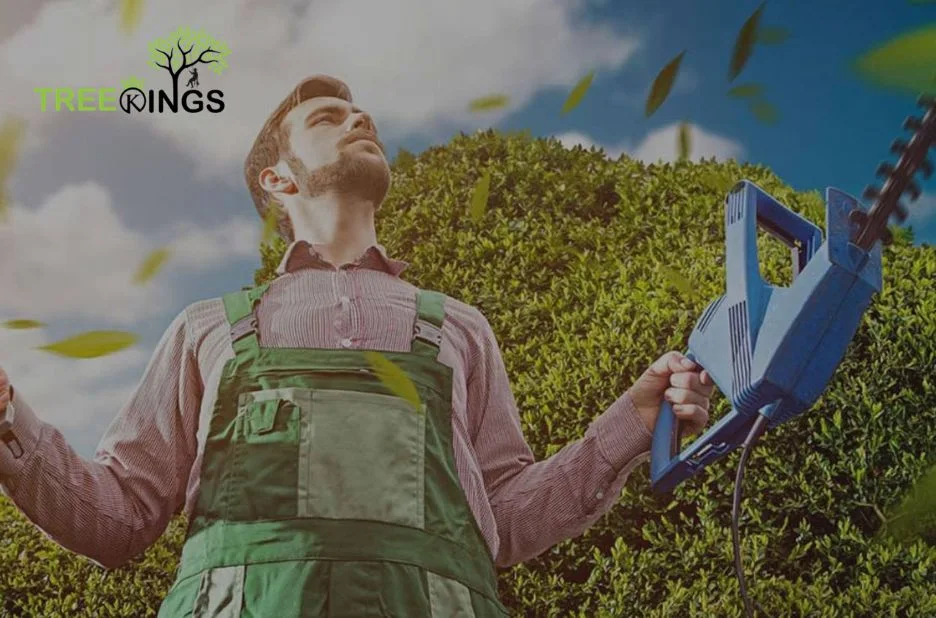 Expert Stump Grinding Glenroy Services for a Clean and Level Landscape Expert Stump Grinding Glenroy Services for a Clean and Level Landscape