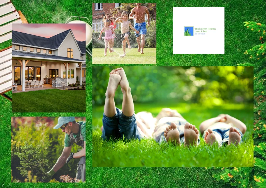 Effective Tips for Keeping San Antonio Lawns Green and Healthy Effective Tips for Keeping San Antonio Lawns Green and Healthy