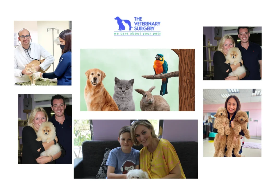 Expert Care and Compassion at Doha Veterinary Center for Your Beloved Pets
