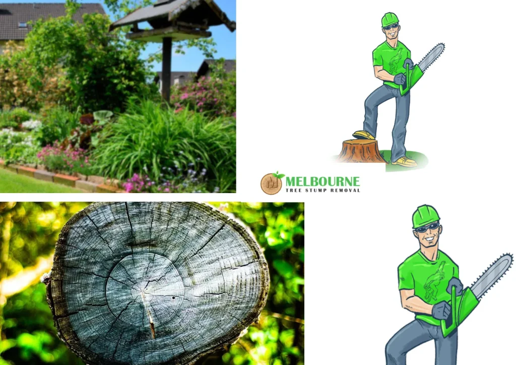 Professional Stump Grinding Werribee Services for Clean and Safe Outdoor Spaces
