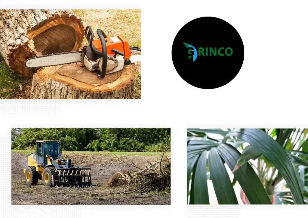 Professional Stump Removal Laverton Services for a Cleaner Yard