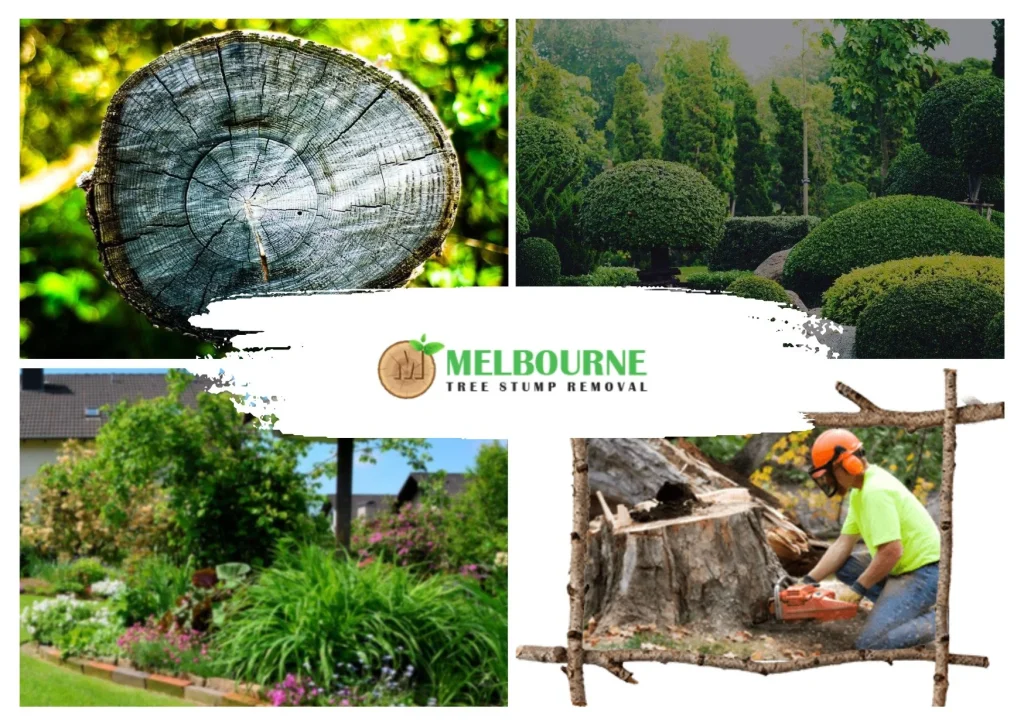 Affordable and Professional Stump Removal Williamstown Services for a Cleaner Garden