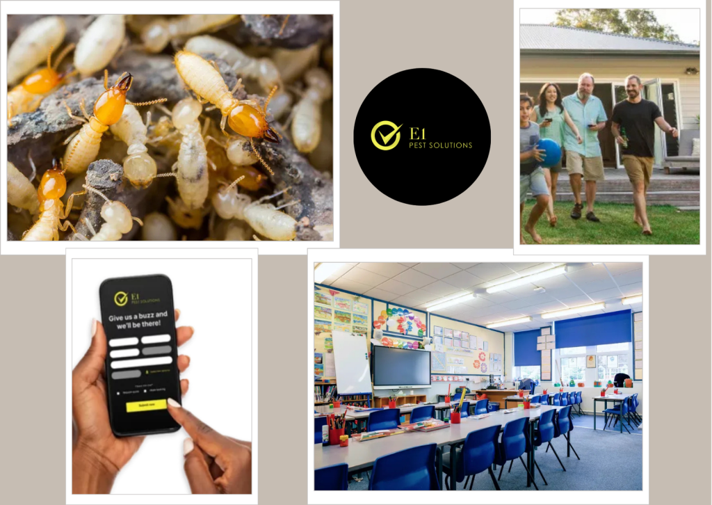 Rodent Pest Control Sydney by E1 Pest Solutions for Trusted, Eco-Friendly Results