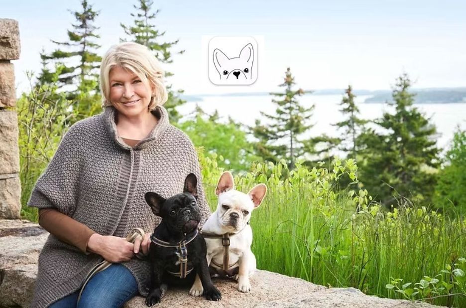How to Use DWKC Papers for Your French Bulldog: Local Guidance and Requirements How to Use DWKC Papers for Your French Bulldog: Local Guidance and Requirements