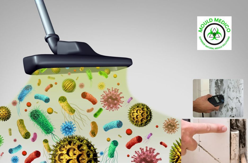 Exterior House Washing Routines in Sunshine Coast: Key Benefits and How Often to Clean Exterior House Washing Routines in Sunshine Coast: Key Benefits and How Often to Clean