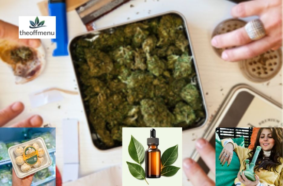 CBD Tincture Selections Canada: A Practical Guide to Choosing Oil-Based Wellness Options CBD Tincture Selections Canada: A Practical Guide to Choosing Oil-Based Wellness Options