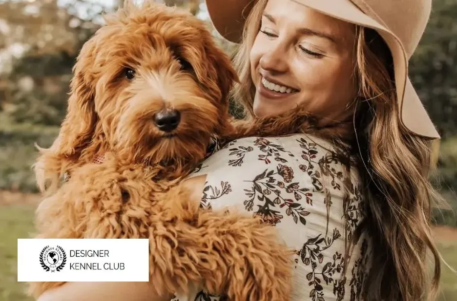 ckc Registration Benefits: How to Register Your Dog with Designer Kennel Club