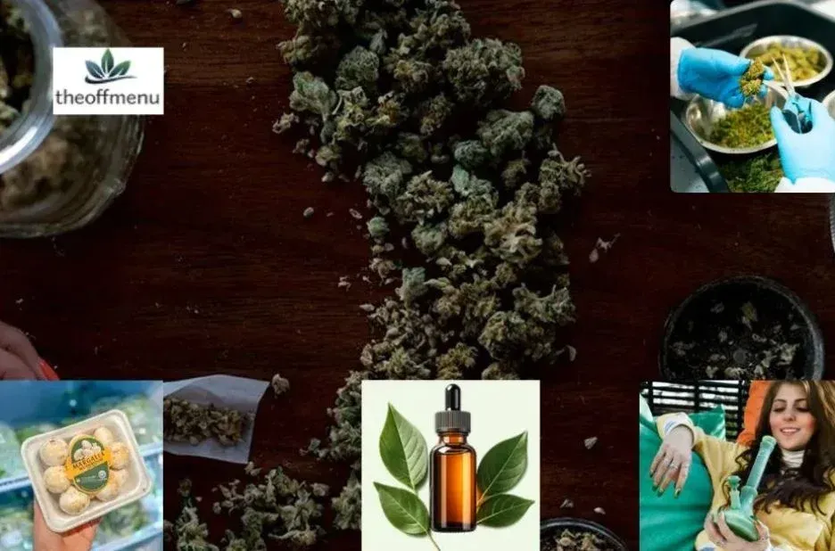 High-Value Cannabis Deals Canada That Boost Customer Retention | Theoffmenu.co High-Value Cannabis Deals Canada That Boost Customer Retention | Theoffmenu.co