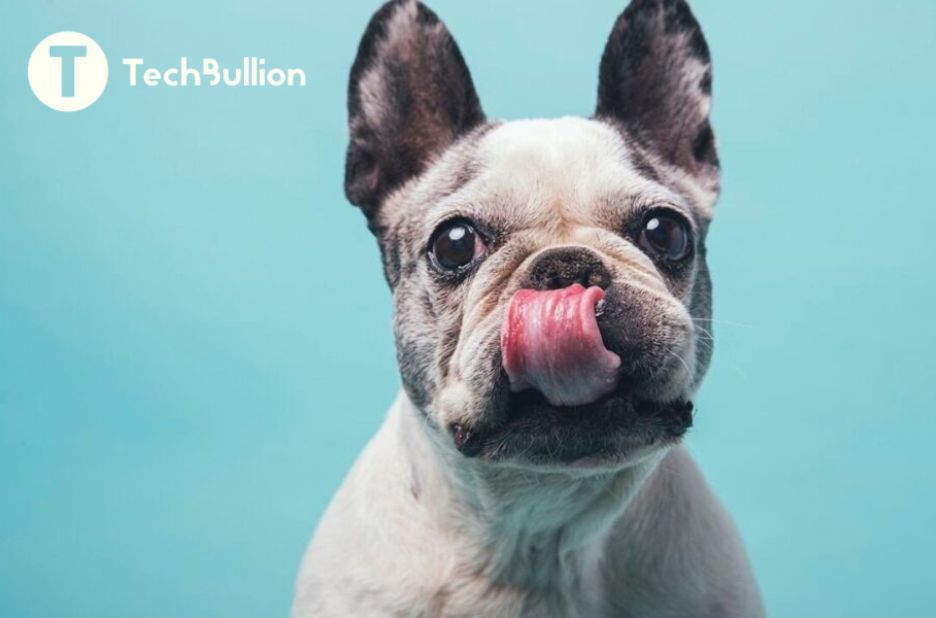 Tech-Enabled Checklist for Rescuing French Bulldogs: A Guest Post on Rescue Operations Tech-Enabled Checklist for Rescuing French Bulldogs: A Guest Post on Rescue Operations