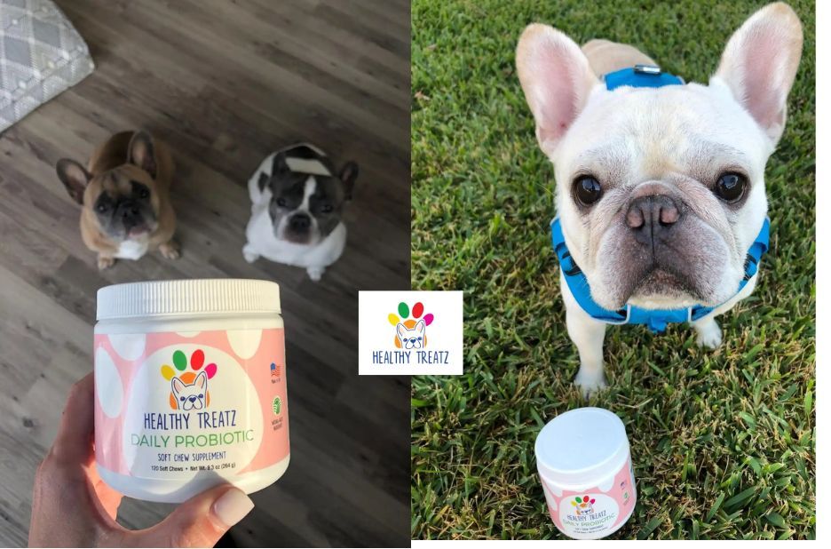 Healthy Petz: Trusted Nutrition for a Stronger, Healthier Pet Healthy Petz: Trusted Nutrition for a Stronger, Healthier Pet