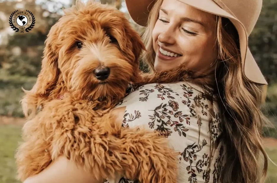 How to Get Papers for a Dog Without Papers: Practical Step-by-Step Guide How to Get Papers for a Dog Without Papers: Practical Step-by-Step Guide