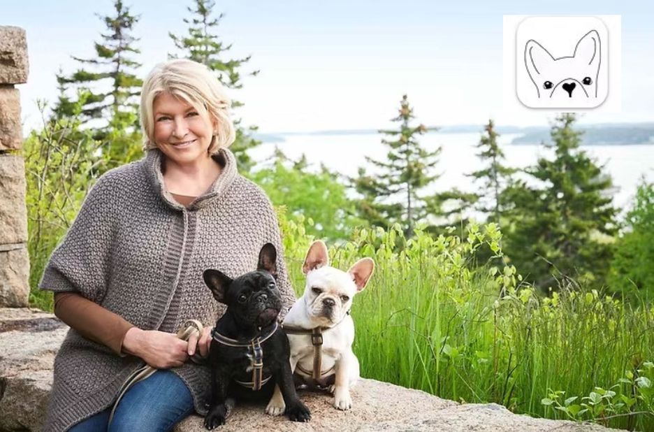 How to Get Papers for a Dog: Guest Post Guide for Local Compliance How to Get Papers for a Dog: Guest Post Guide for Local Compliance