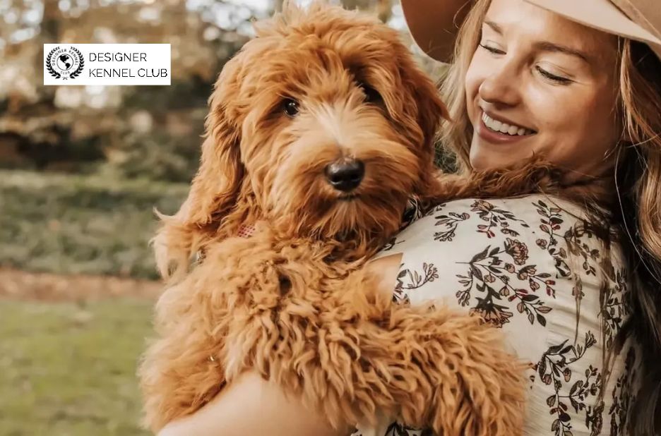 Expert Steps to Register a Dog Without Papers Through Designer Kennel Club Expert Steps to Register a Dog Without Papers Through Designer Kennel Club