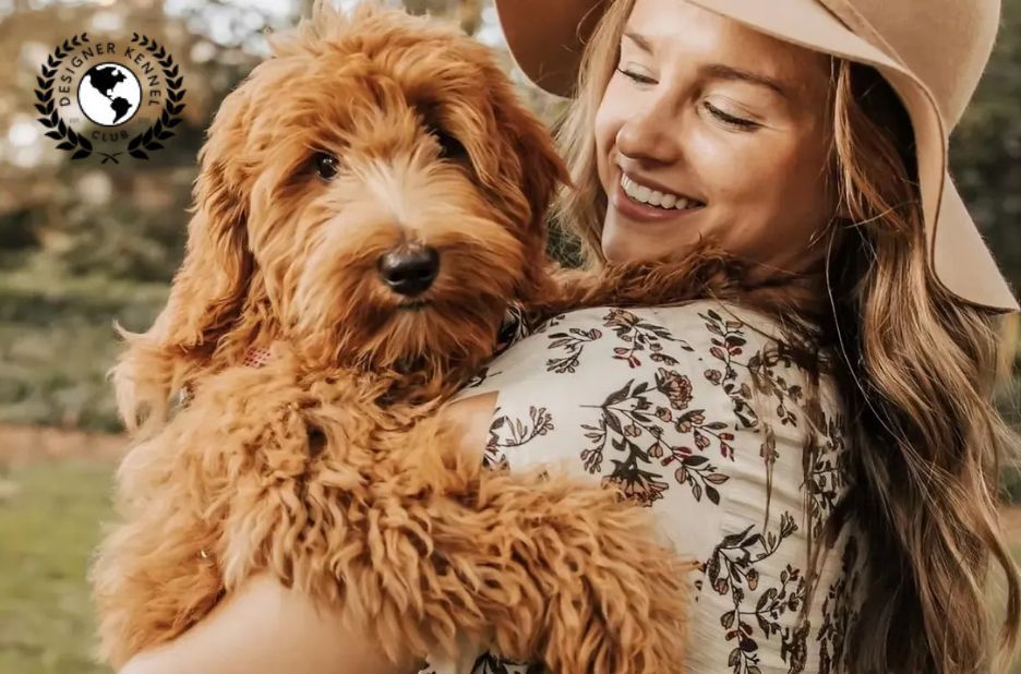 How to Get Papers for a Dog Without Papers: Key Benefits and Step-by-Step Guidance How to Get Papers for a Dog Without Papers: Key Benefits and Step-by-Step Guidance