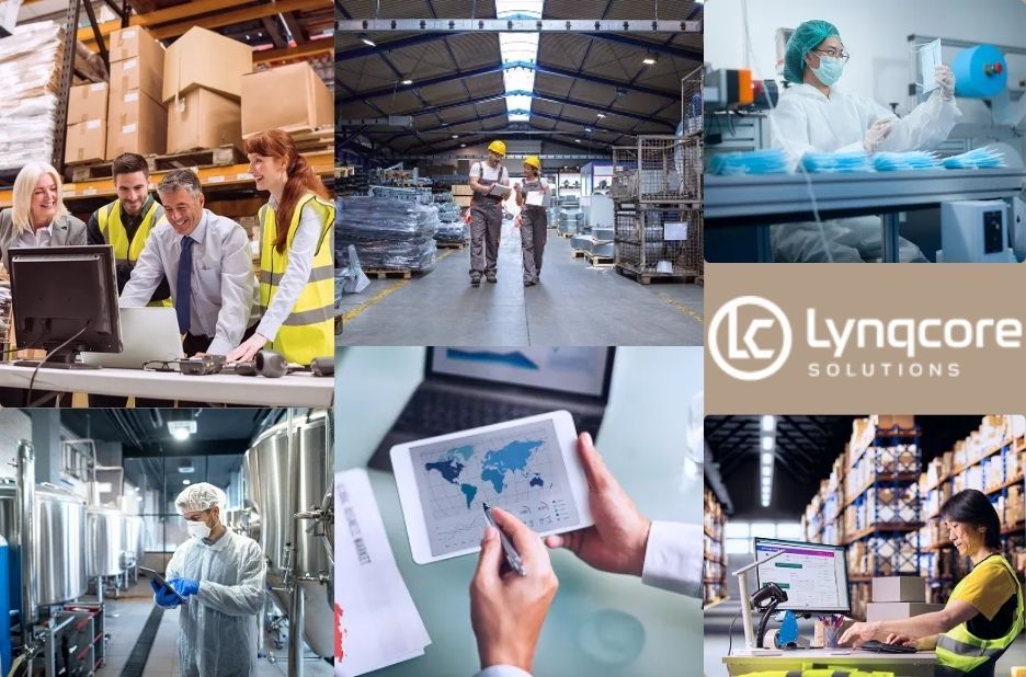 How WMS Platforms Enable Faster Discovery and Growth How WMS Platforms Enable Faster Discovery and Growth