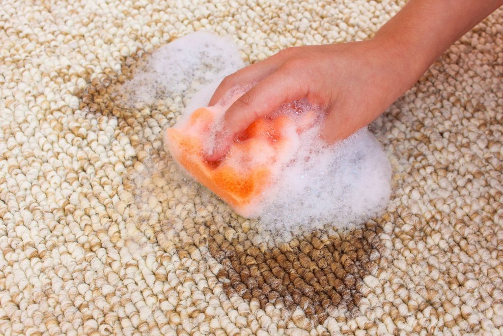 Expert Guide to Sustainable Carpet Cleaning Choices